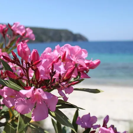 Διαμέρισμα Akrotiri Summer *